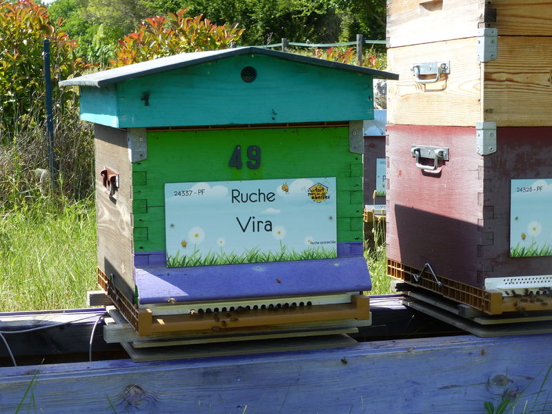 La ruche Vira