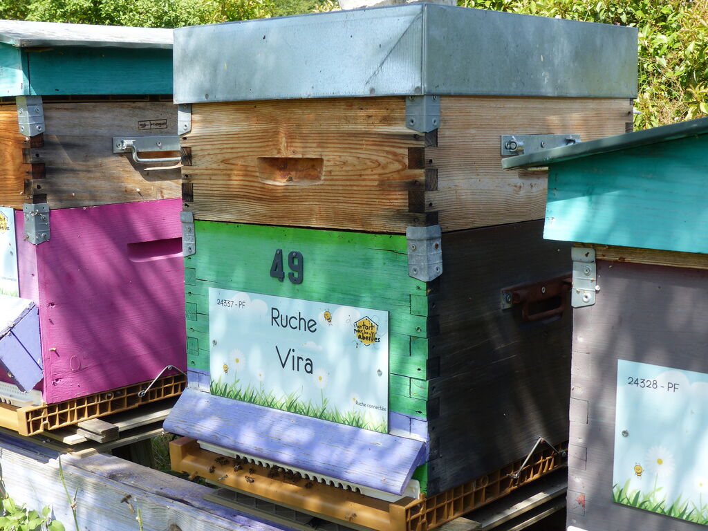 La ruche Vira