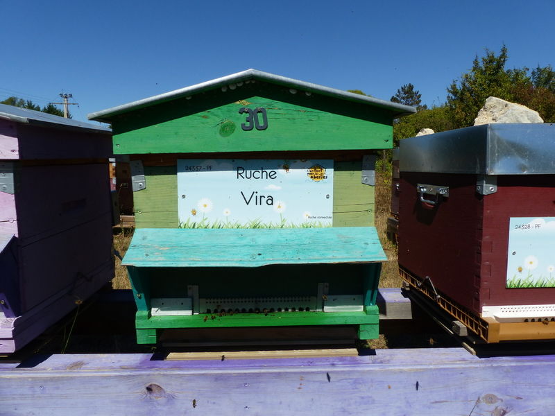 La ruche Vira