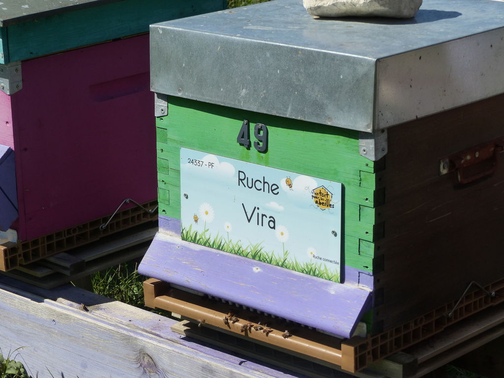 La ruche Vira