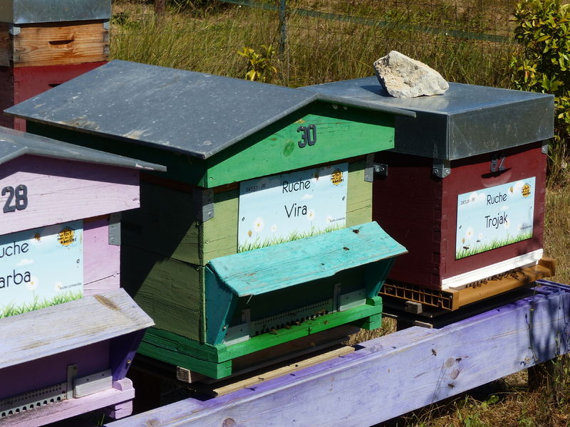 La ruche Vira