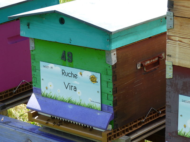 La ruche Vira