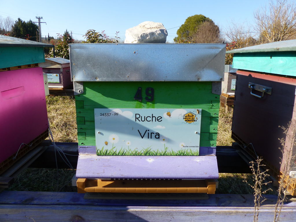 La ruche Vira