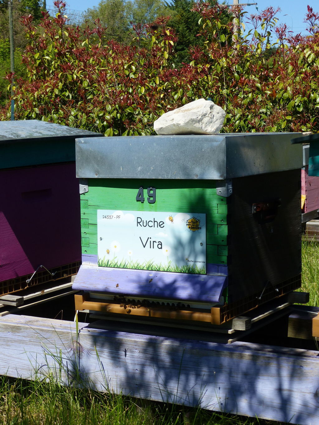 La ruche Vira