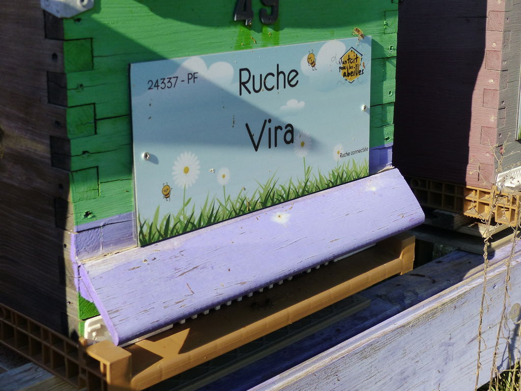 La ruche