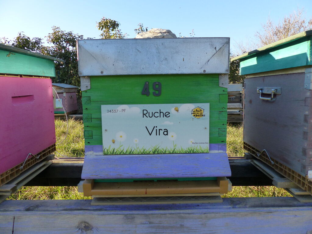 La ruche Vira