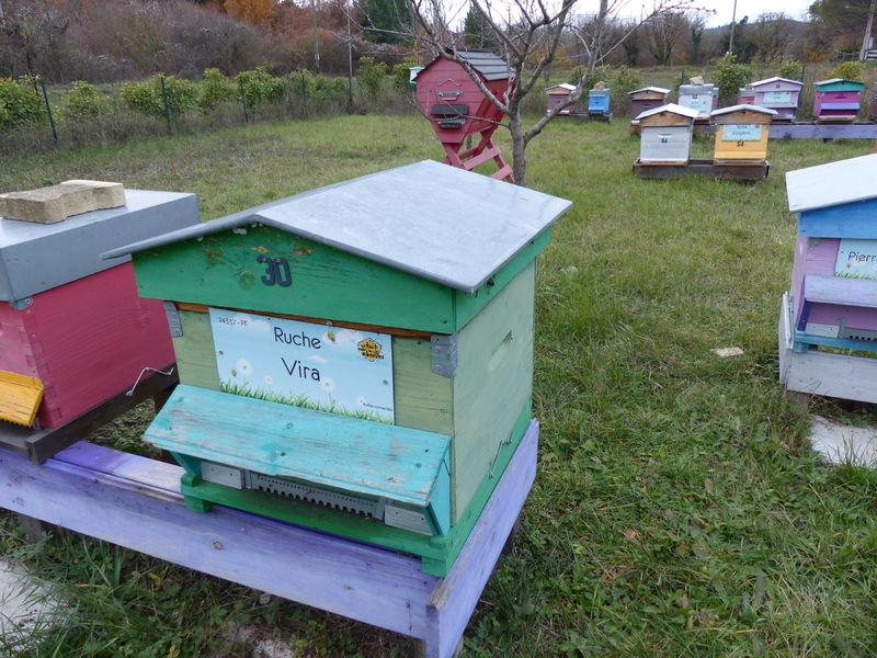 La ruche Vira