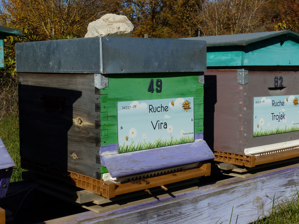 La ruche Vira