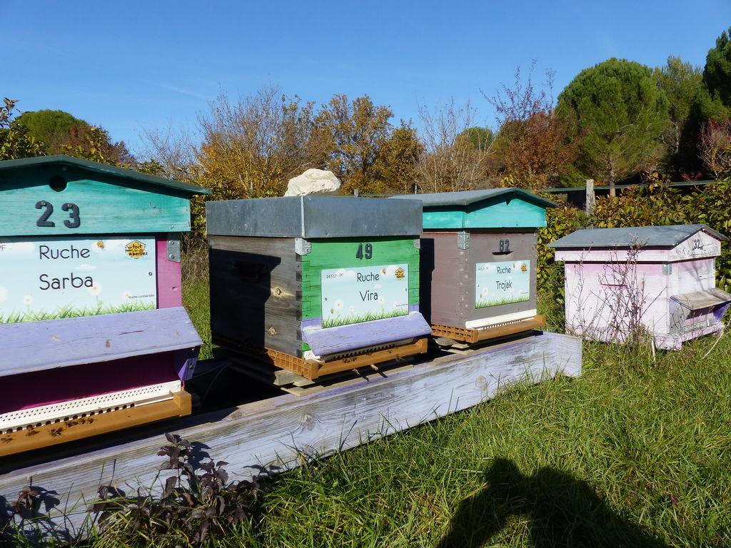 La ruche Vira