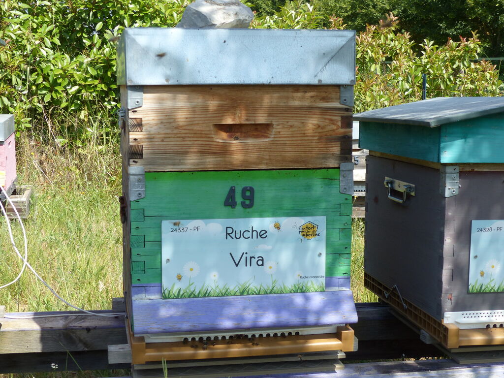 La ruche Vira