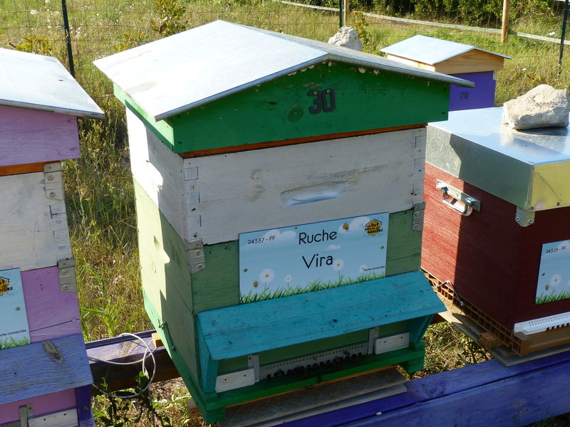 La ruche Vira