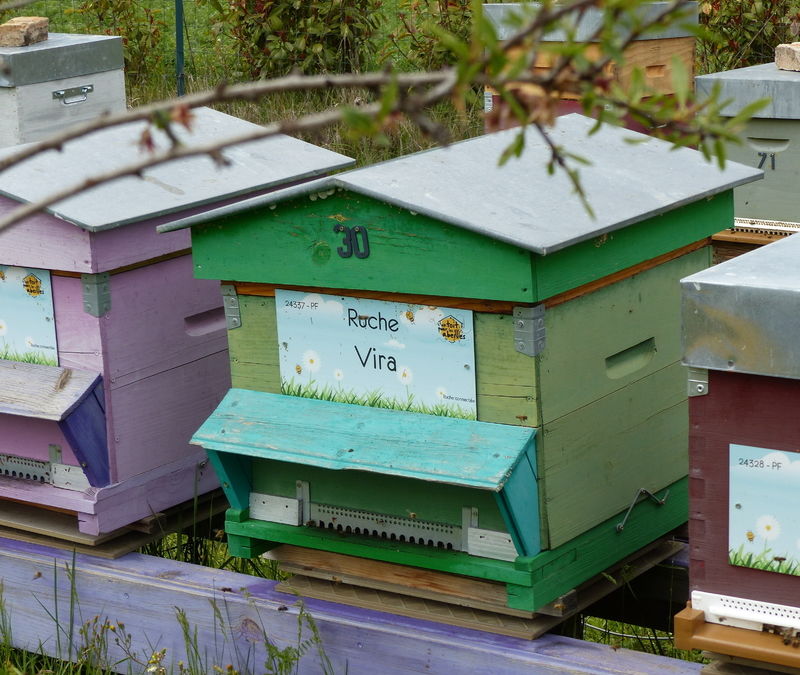 La ruche Vira