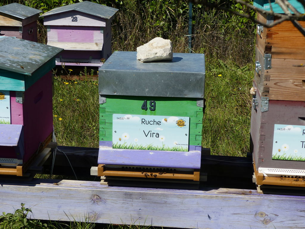 La ruche Vira