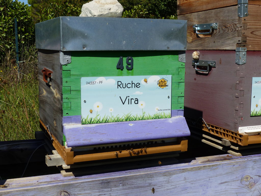 La ruche Vira