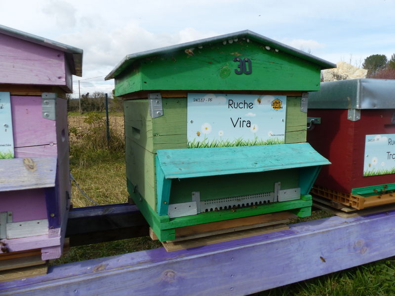 La ruche Vira
