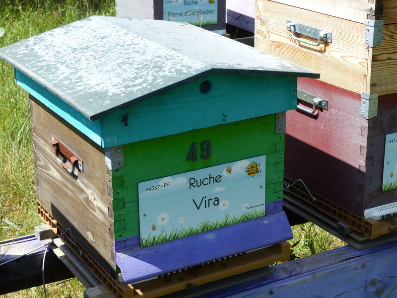La ruche Vira