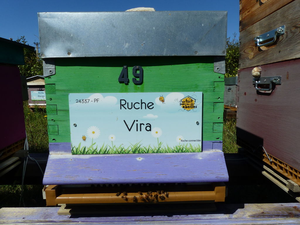 La ruche Vira