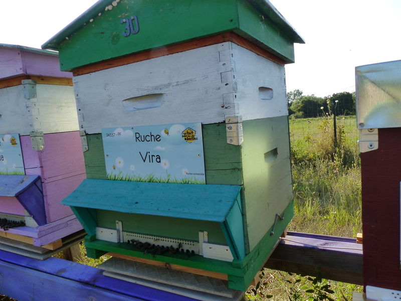 La ruche Vira