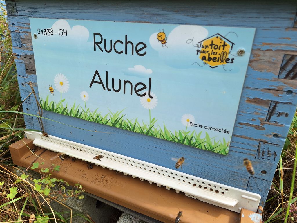 La ruche Alunel