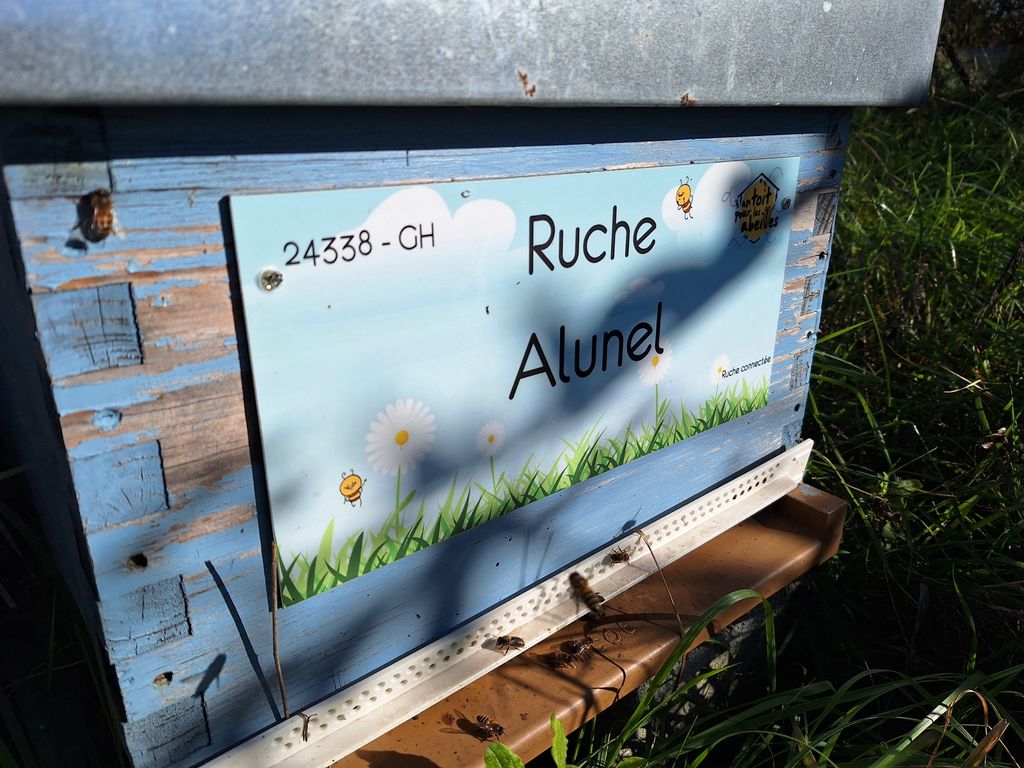 La ruche Alunel