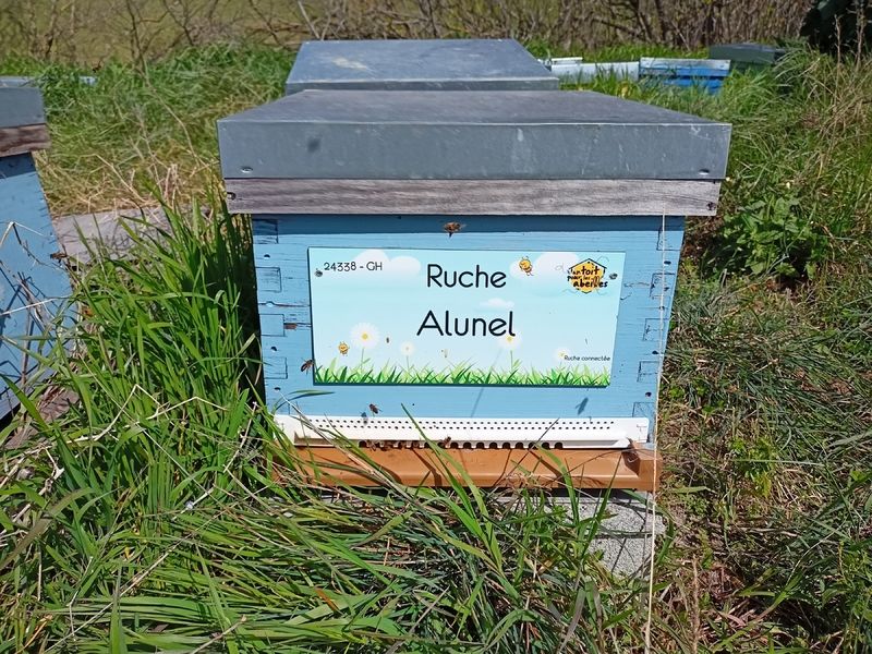 La ruche Alunel