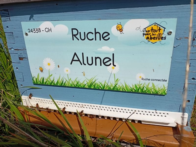 La ruche Alunel