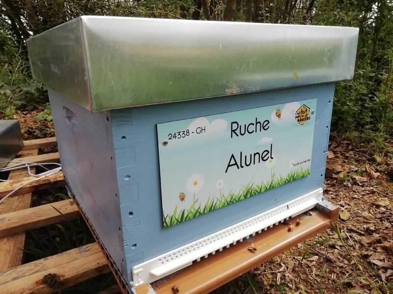 La ruche Alunel