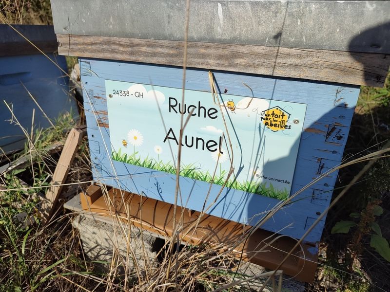 La ruche Alunel
