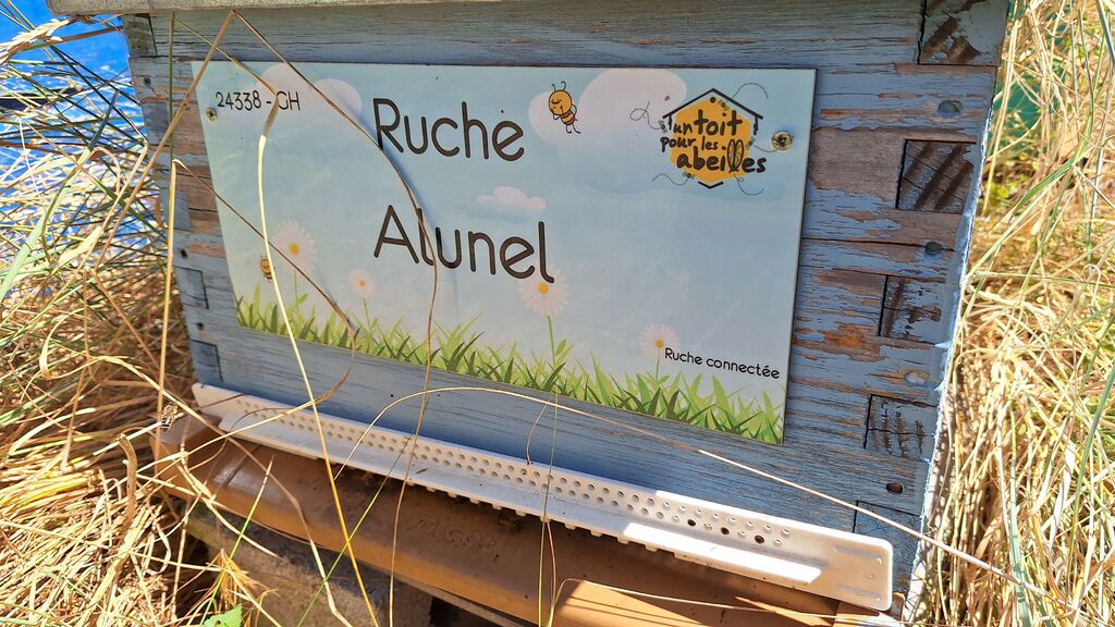 La ruche Alunel