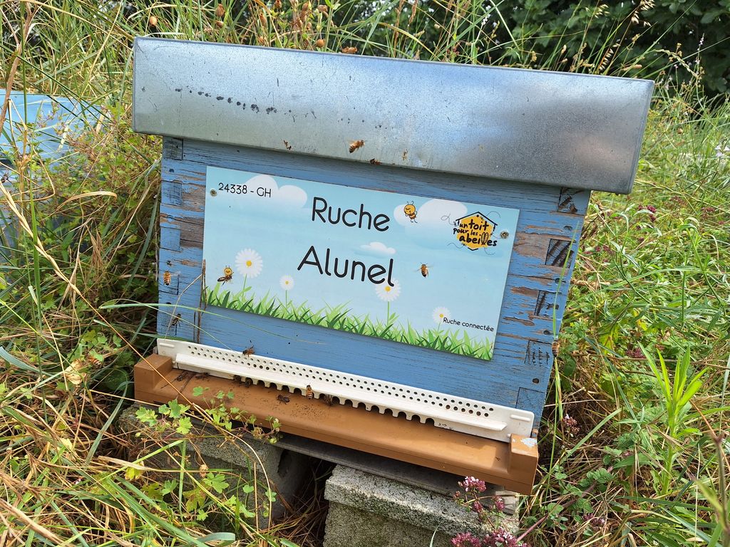 La ruche Alunel
