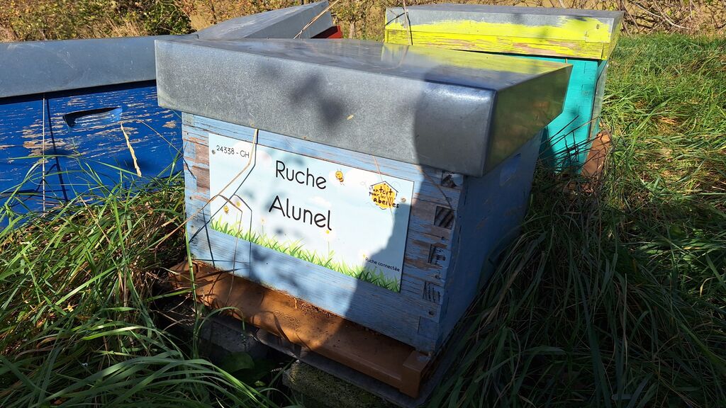 La ruche Alunel
