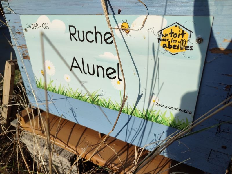 La ruche Alunel