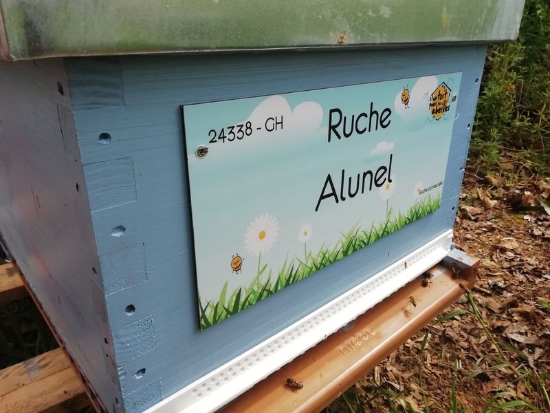 La ruche Alunel
