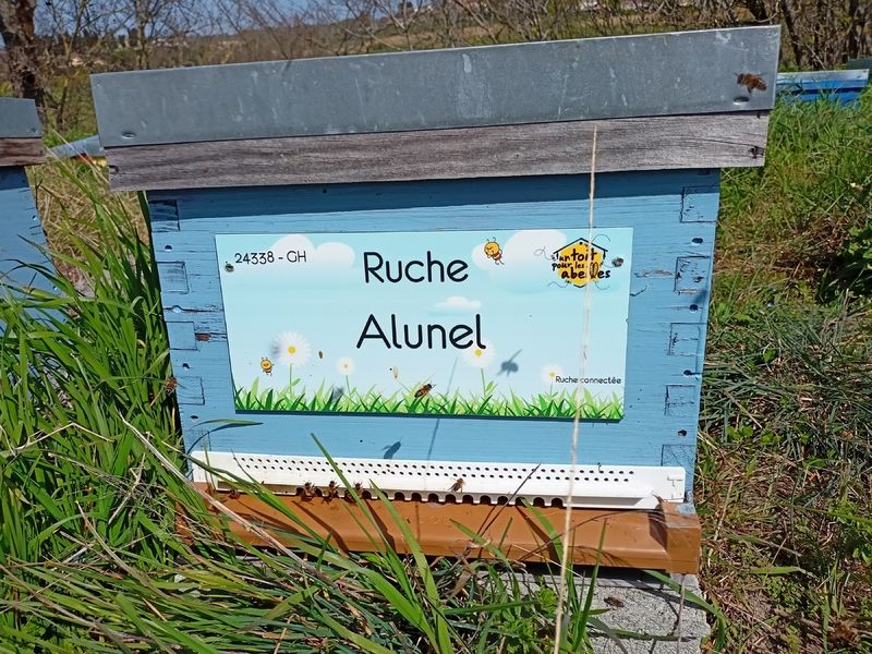 La ruche Alunel