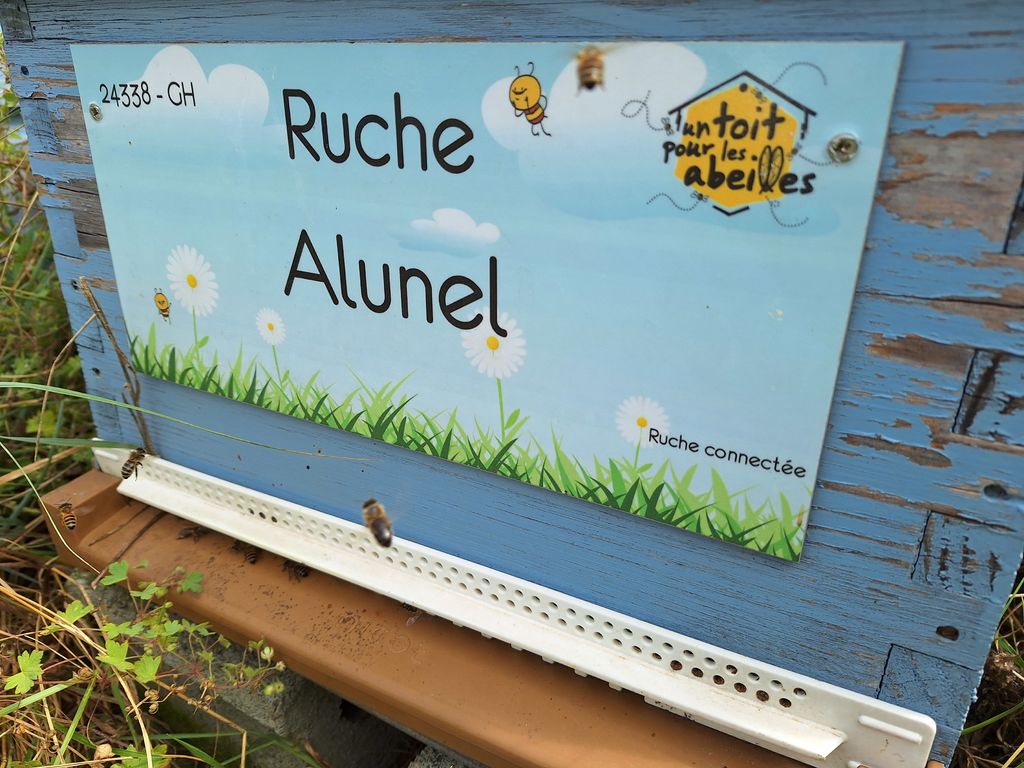 La ruche Alunel
