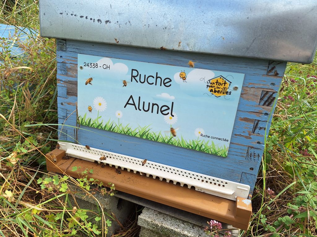 La ruche Alunel