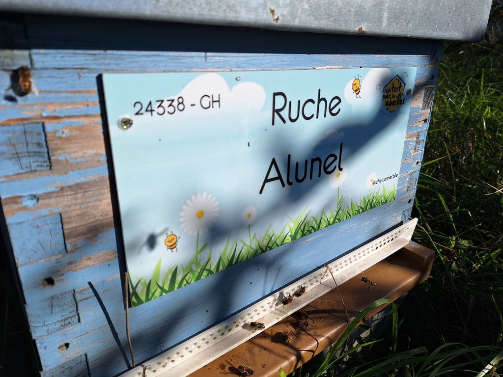 La ruche Alunel