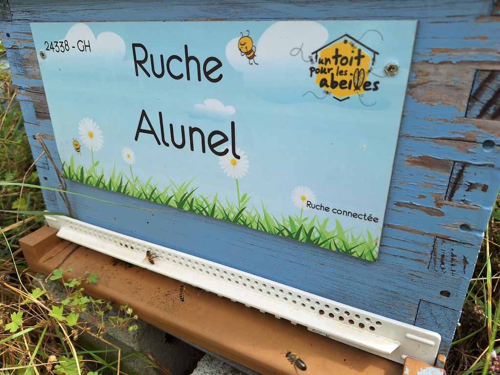 La ruche Alunel