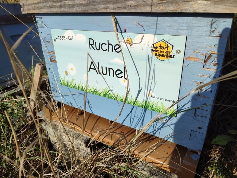 La ruche Alunel