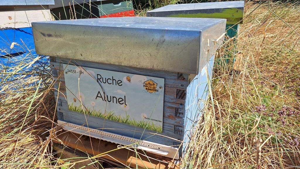 La ruche Alunel
