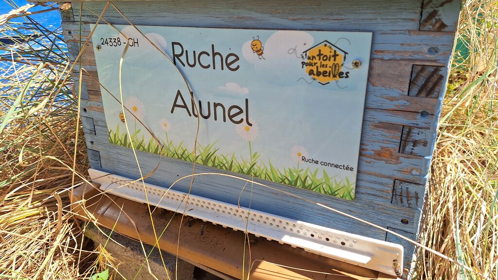 La ruche Alunel