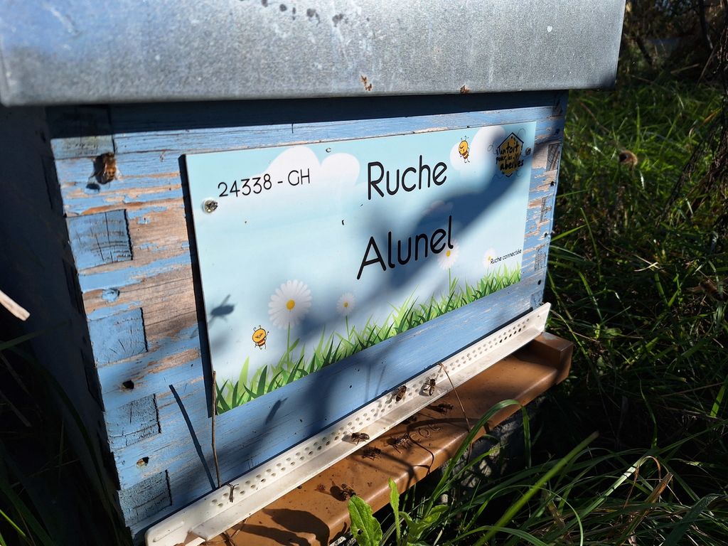 La ruche Alunel