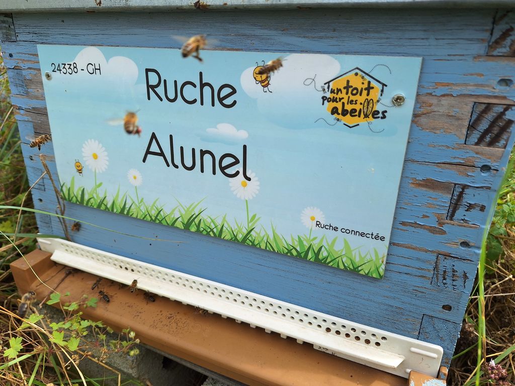 La ruche Alunel