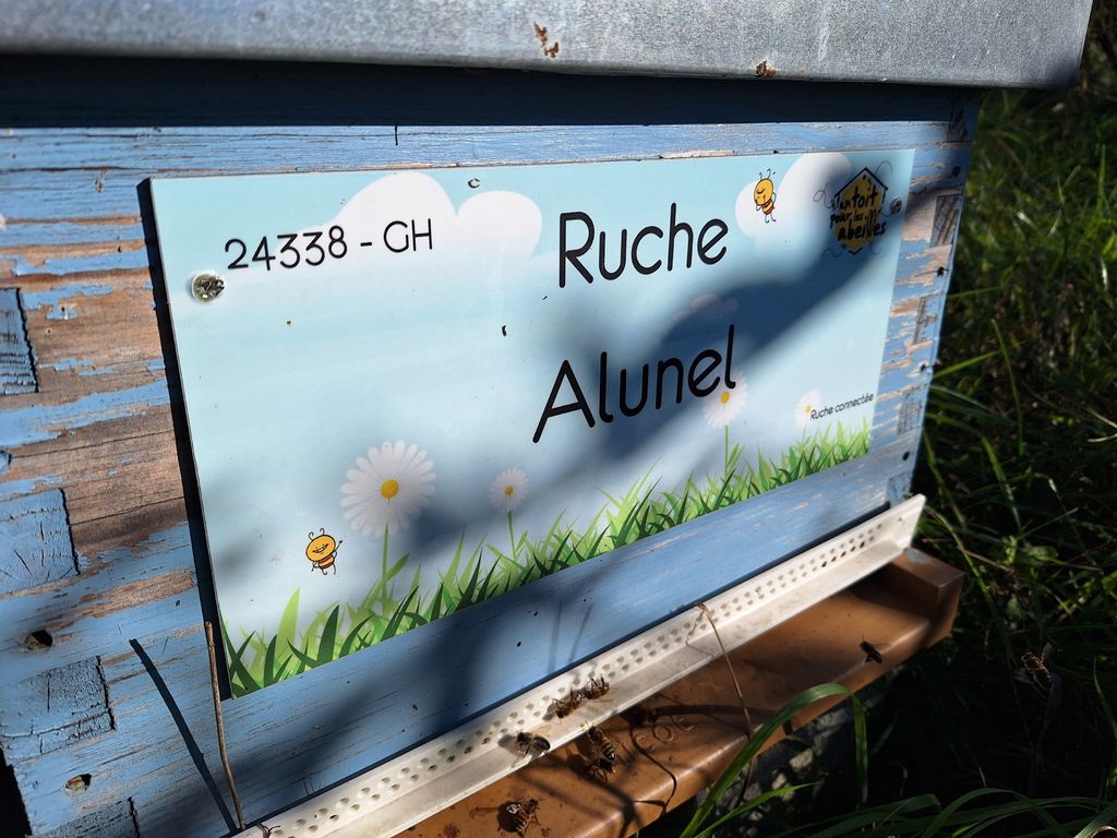 La ruche Alunel