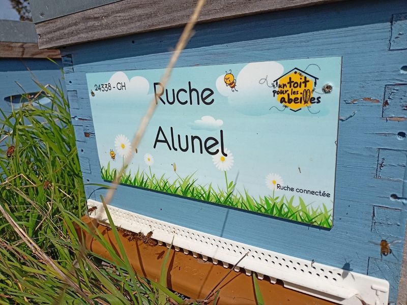 La ruche Alunel