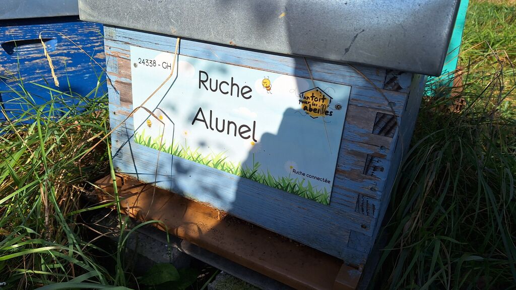 La ruche Alunel