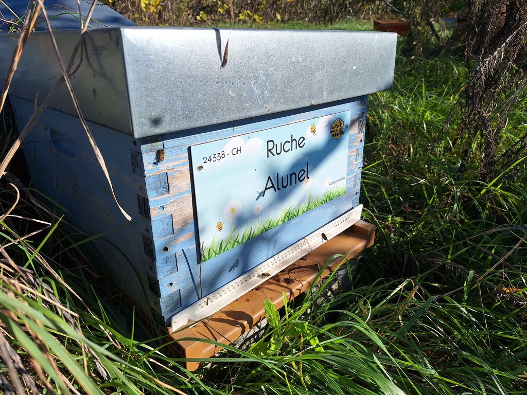 La ruche Alunel