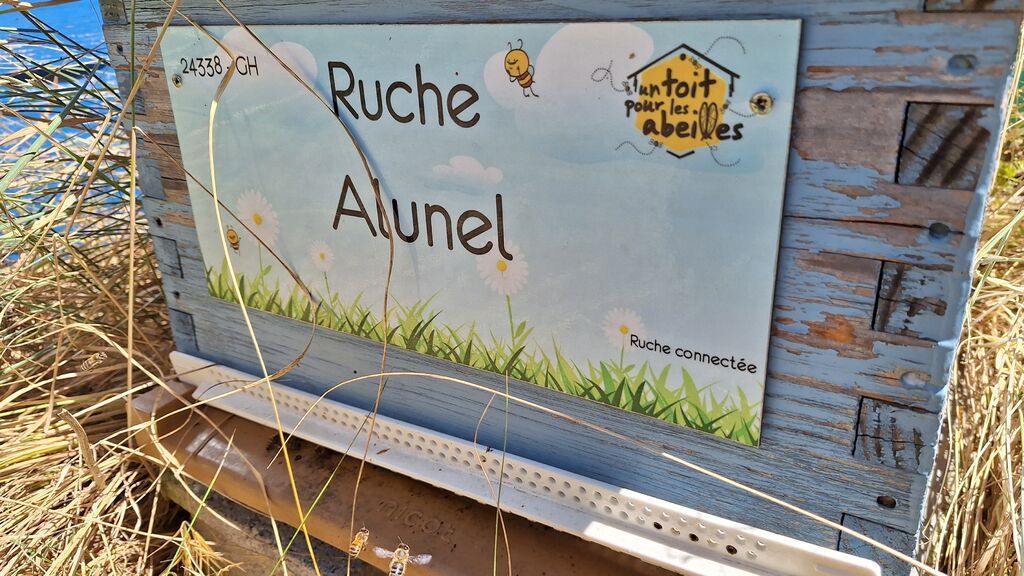 La ruche Alunel