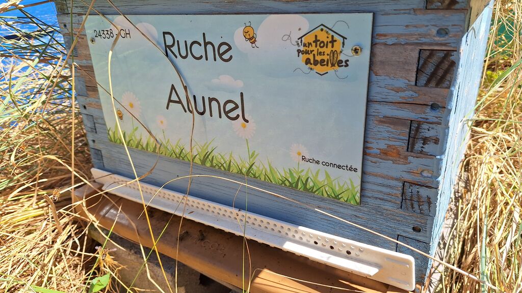 La ruche Alunel