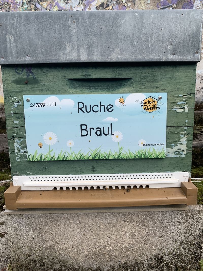 La ruche